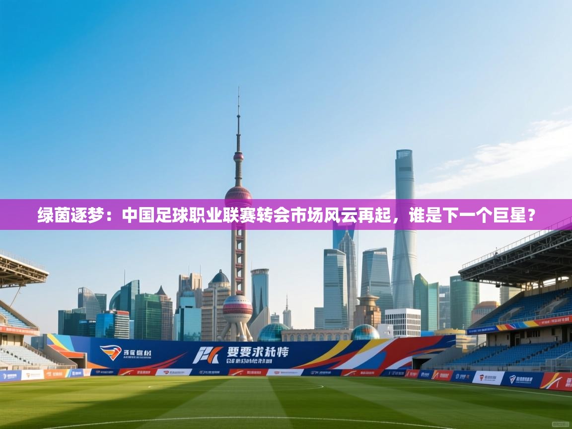 绿茵逐梦：中国足球职业联赛转会市场风云再起，谁是下一个巨星？  第2张